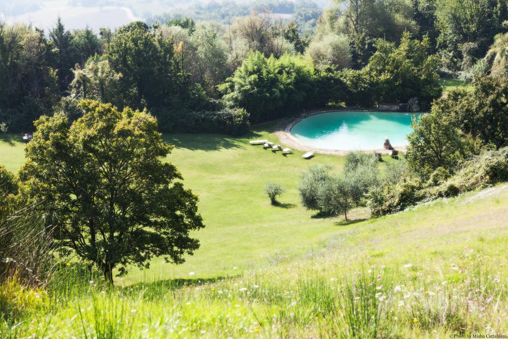 Agriturismo Paradiso41 Ассизи Экстерьер фото
