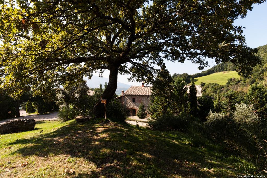 Agriturismo Paradiso41 Ассизи Экстерьер фото