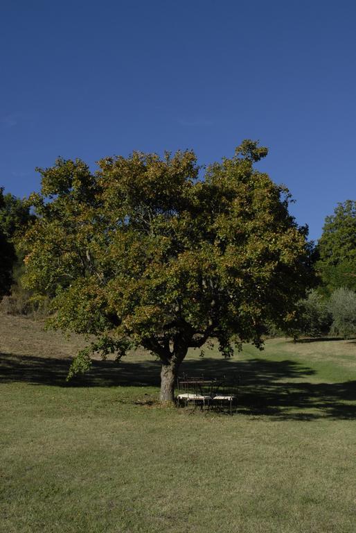 Agriturismo Paradiso41 Ассизи Экстерьер фото