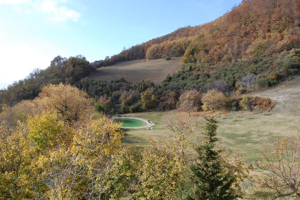Agriturismo Paradiso41 Ассизи Экстерьер фото